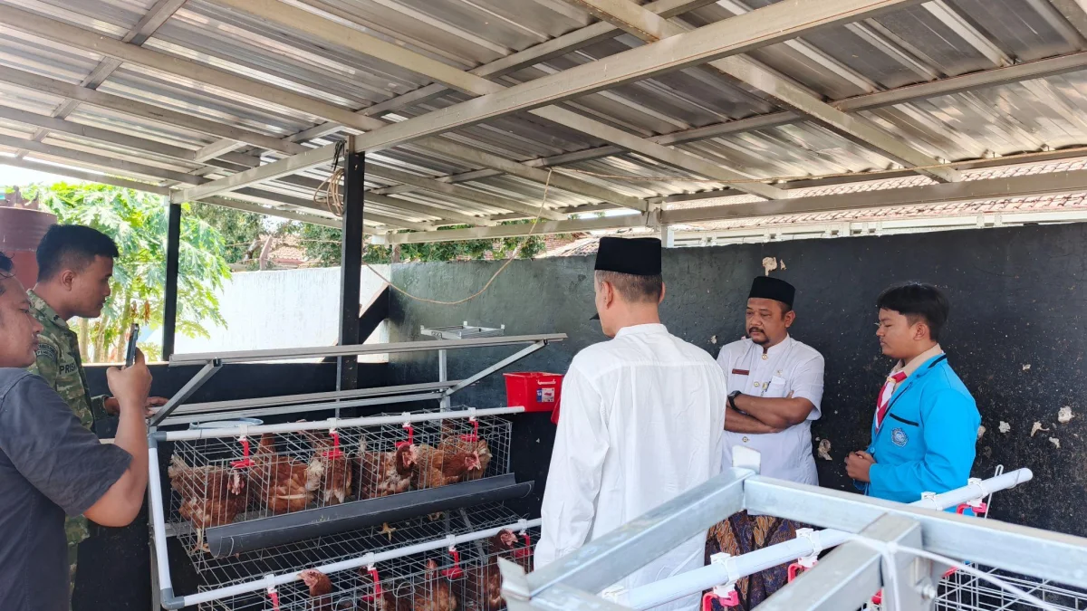 Peninjauan fasilitas peternakan ayam petelur sebagai bagian dari kegiatan Sekolah MANTAP.