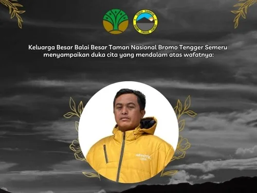 Korban Karhutla Bromo Bertambah, Petugas Keamanan Artotel Suraji Meninggal Usai 9 Hari Dirawat